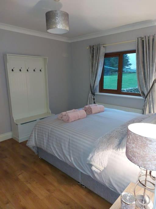 Luxurious Log Cabin With Lay-Z Spa Hot Tub Villa Ballina  Esterno foto